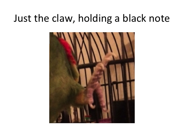 But she saw only the outstretched claw, seeming to hold a black square.