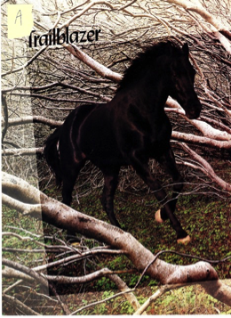 A target chosen correctly: a horse running through branches.