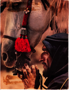 The target — a horse and an Arab in profile, “reminiscent of Dick Tracy.”